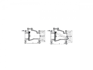 Clapet anti-retour SHC-5F